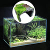 Reptile Hide Cave Habitat Snake Turtle Terrarium Landscape Decoration B