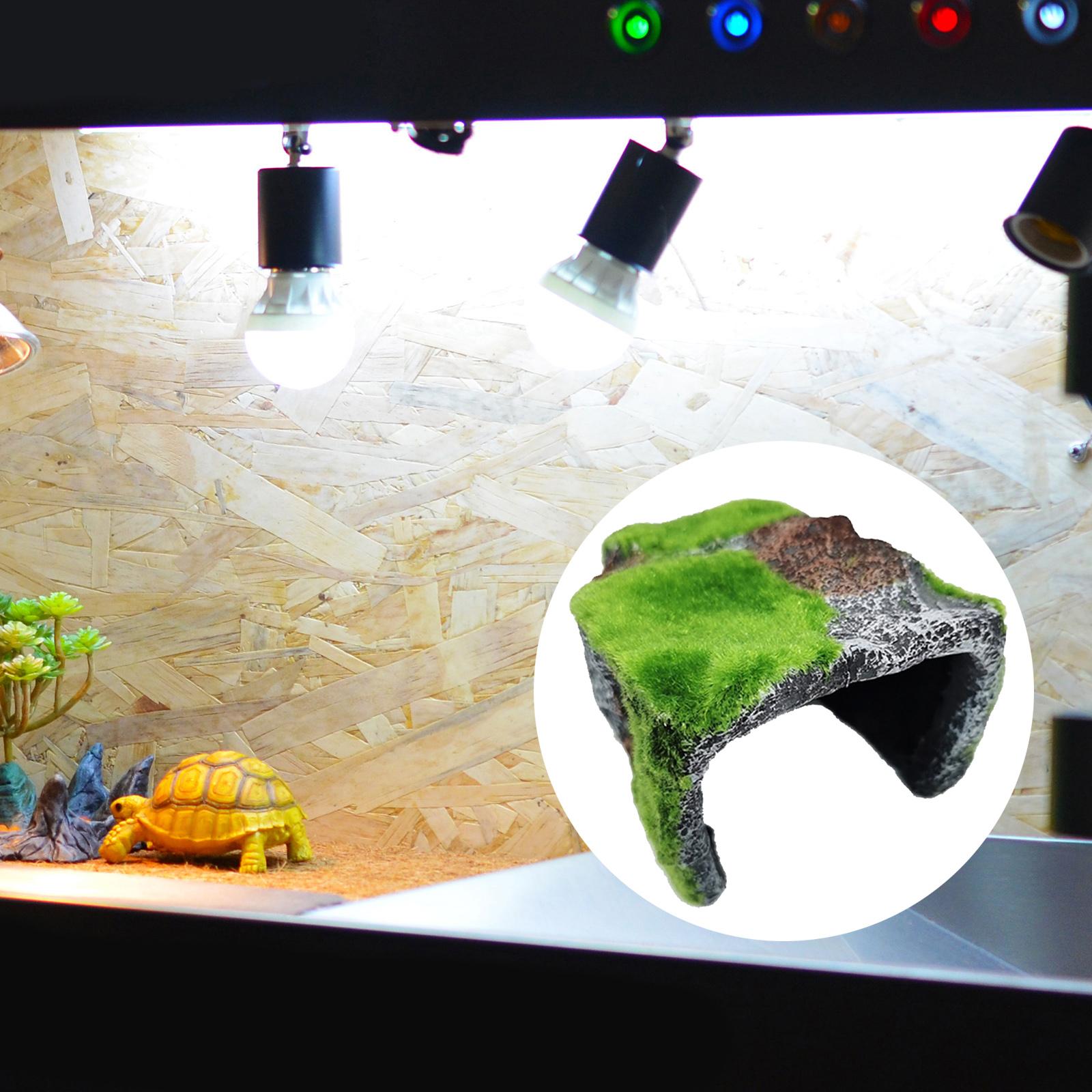 Reptile Hide Cave Habitat Snake Turtle Terrarium Landscape Decoration B