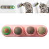 Catnip Balls Natural Removable for Teeth Grinding Cat Ball Toy  Pink