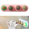 Catnip Balls Natural Removable for Teeth Grinding Cat Ball Toy  Pink