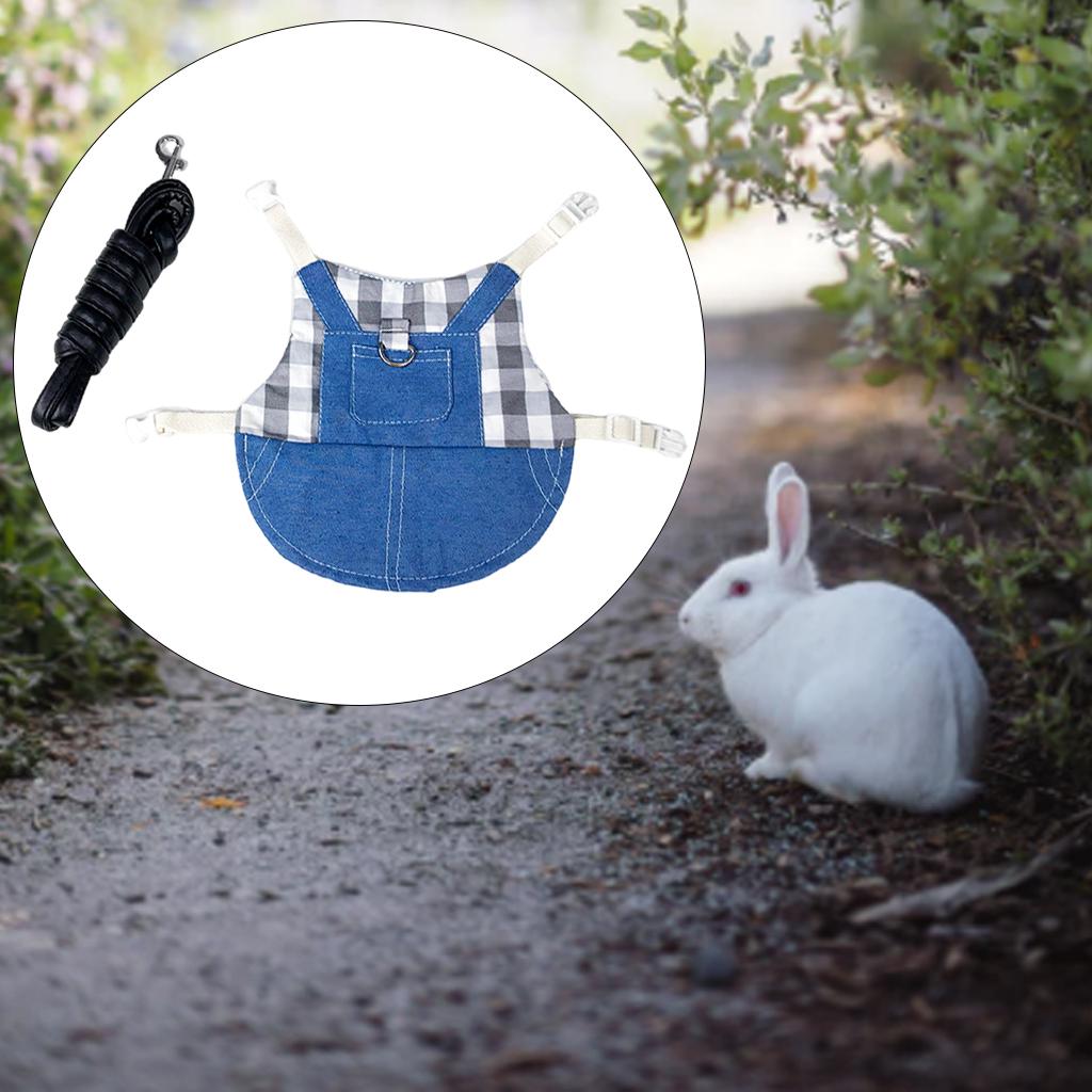 Rabbit Vest Harness Soft Breathable Jacket Coat for Walking Pet Supplies M Gray