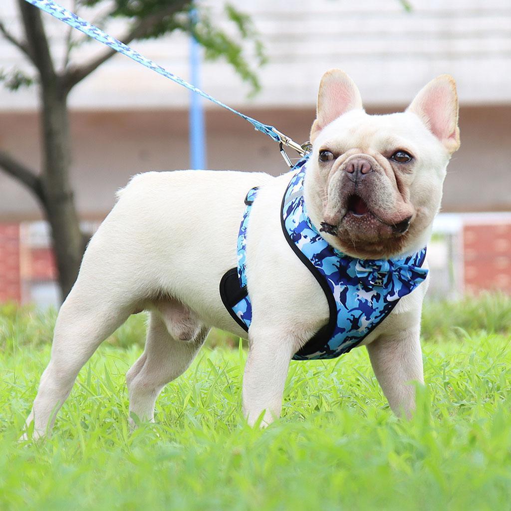 Dog Harness Set Breathable Bow-Knot Harnesses Vest for Training Running XL Blue