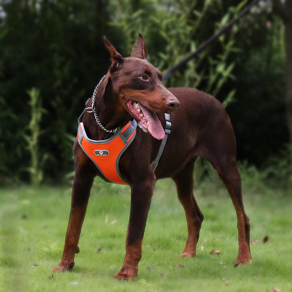 Soft Harness Vest Pet Harness Easy Control Comfortable for Large Medium Dogs Orange S