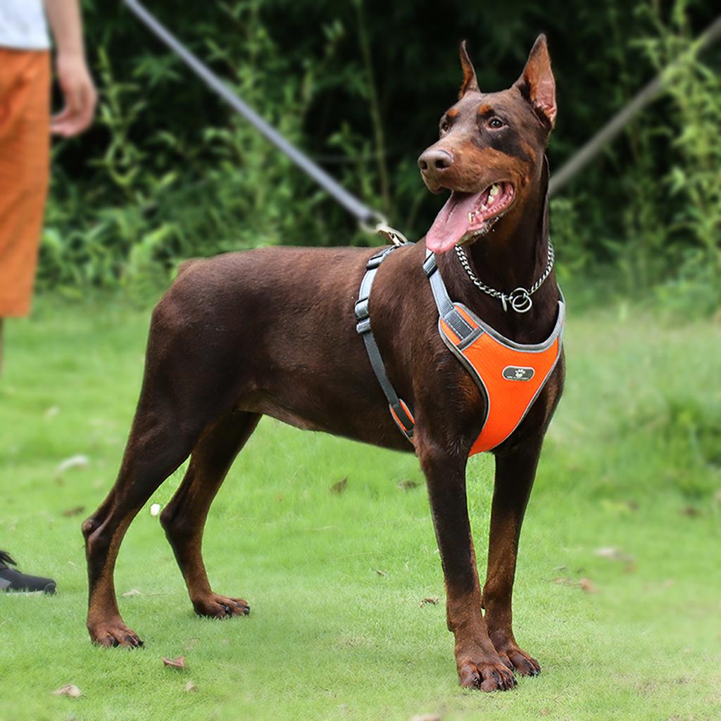 Soft Harness Vest Pet Harness Easy Control Comfortable for Large Medium Dogs Orange S