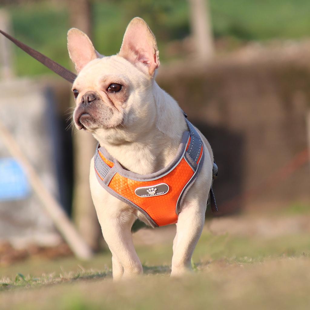 Soft Harness Vest Pet Harness Easy Control Comfortable for Large Medium Dogs Orange S