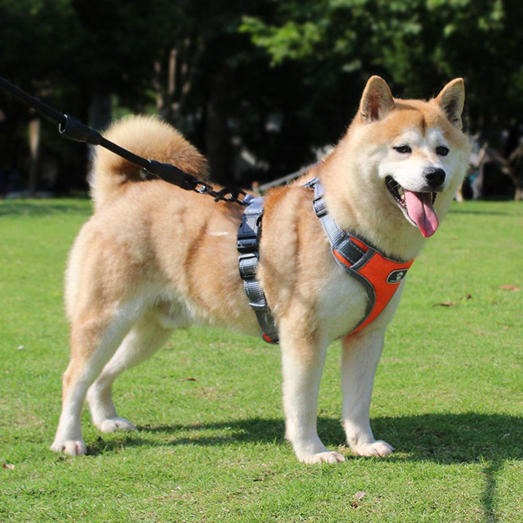 Soft Harness Vest Pet Harness Easy Control Comfortable for Large Medium Dogs Orange S