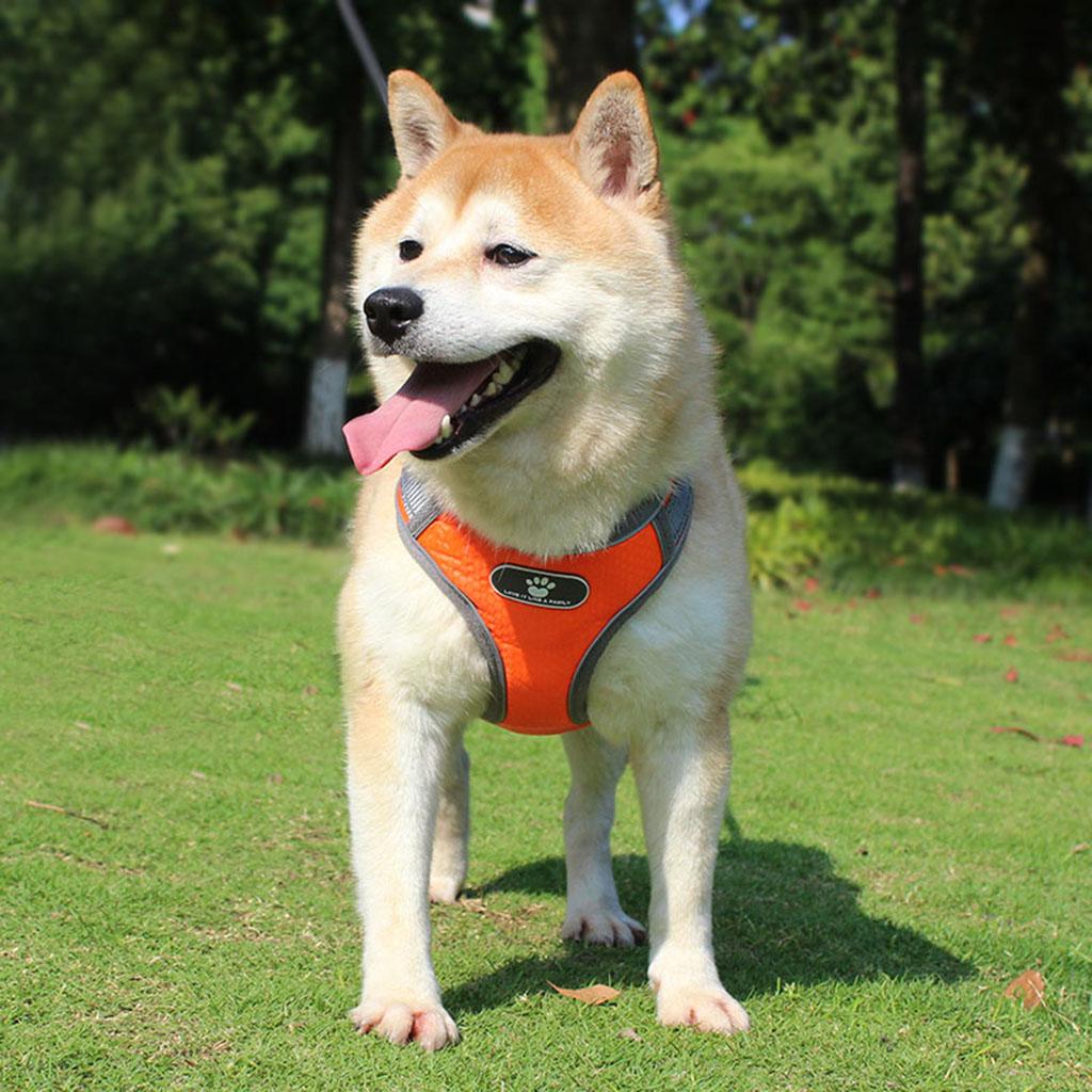 Soft Harness Vest Pet Harness Easy Control Comfortable for Large Medium Dogs Orange S