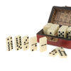 Double Six Dominoes Set Traditional Classic Recreational Family Table Game