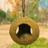 Natural Coconut Hut Bird Nest Toy Parrot Hamster Cage Toy Cockatiel House