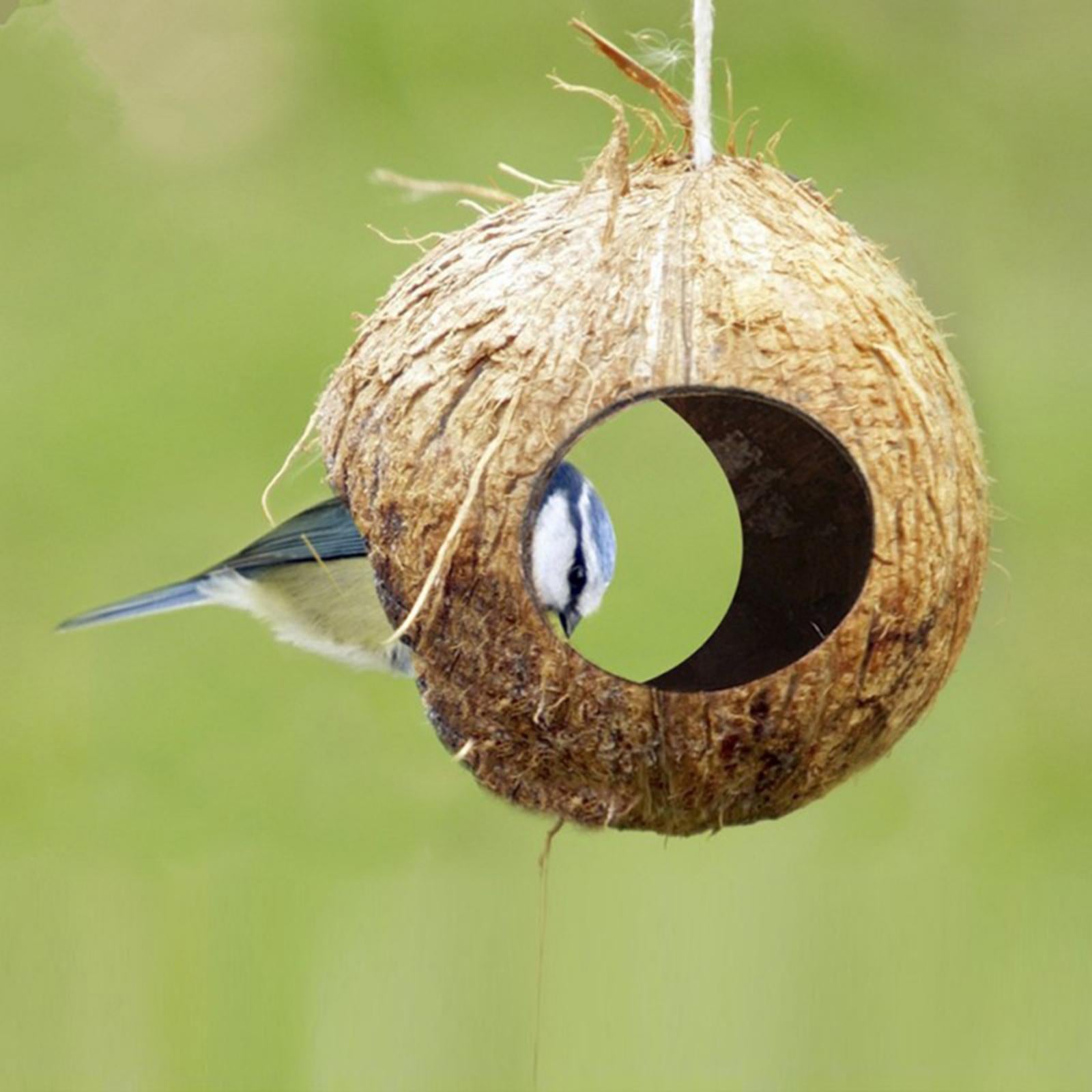 Natural Coconut Hut Bird Nest Toy Parrot Hamster Cage Toy Cockatiel House