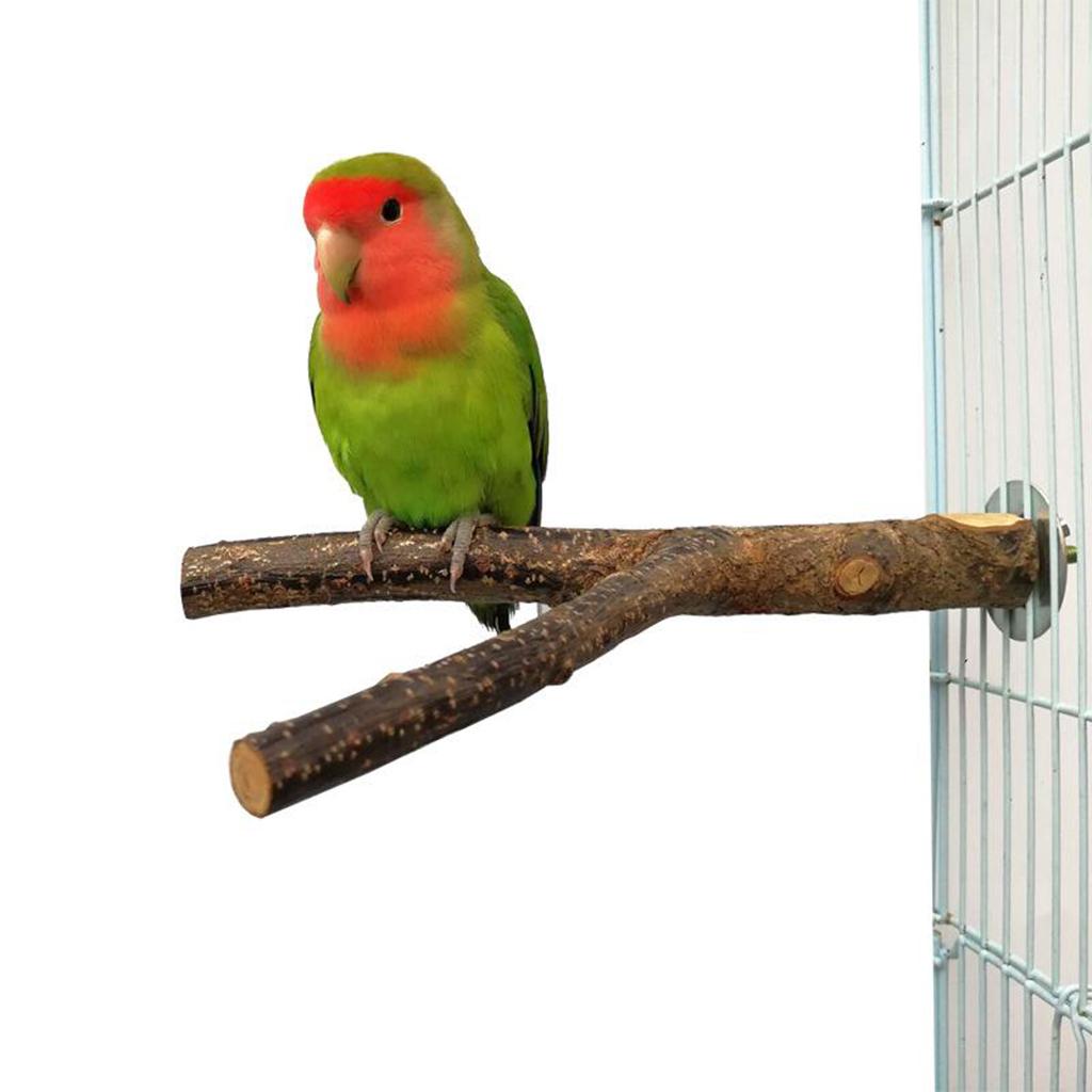 Wood Pet Budgie Parrot Bird Stand Tree Branch Hanging Toys Cage Perches 30cm