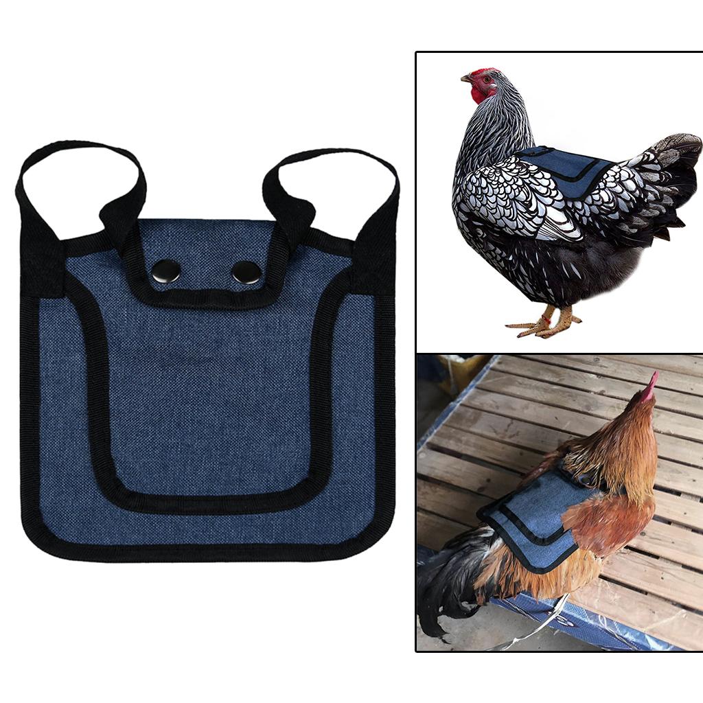 Chicken Saddle Chicken Jacket Straps Adjustable Hen Apron Chicken Apron Blue