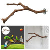 Wood Hanging Parrot Stand Tree Branch Resk Holder Toys Perches Grinding A