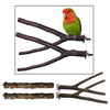 4pcs/set Natural Wooden Parrot Bird Stand Tree Branch Toys Perch Grinding