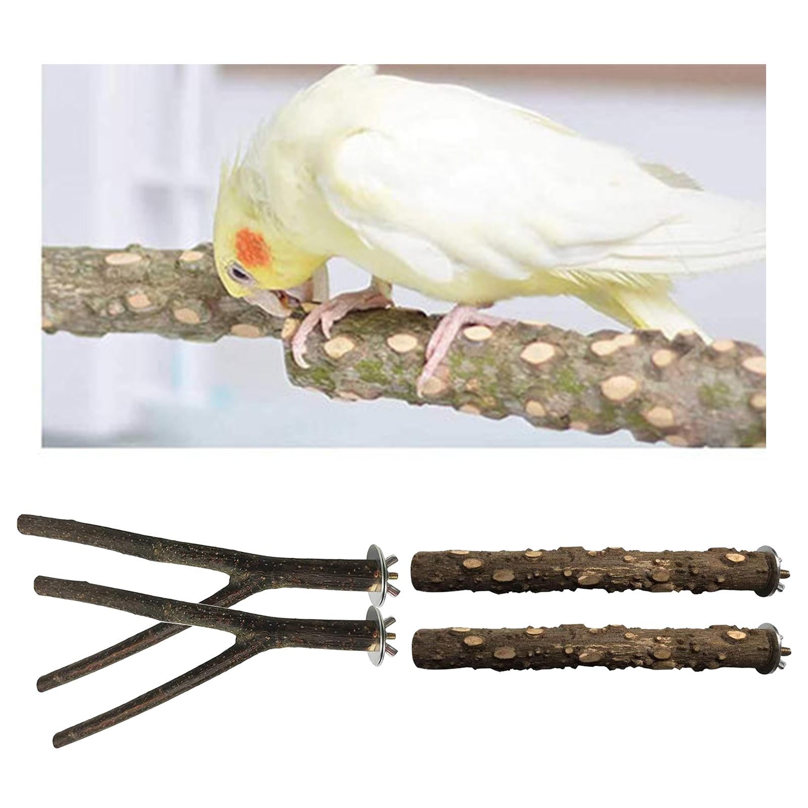 4pcs/set Natural Wooden Parrot Bird Stand Tree Branch Toys Perch Grinding