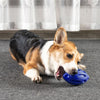 Squeaky Dog Toys Puppy Chew Ball with Squeaker Dog Squeaking Toys blue