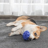 Squeaky Dog Toys Puppy Chew Ball with Squeaker Dog Squeaking Toys blue