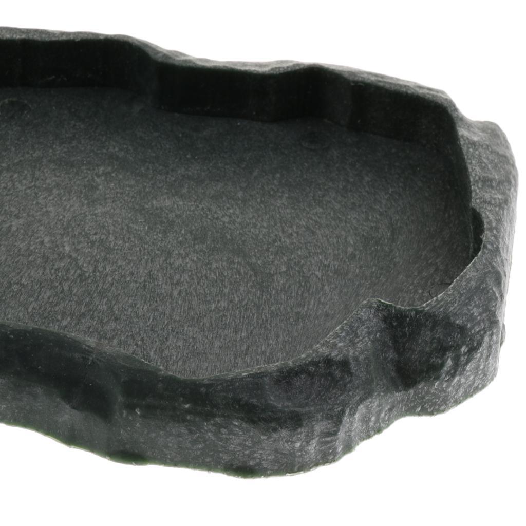 Reptile Tortoise Feeding Bowl Food Water Dish Food Tray Basin Atrovirens