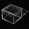 Insect Reptile Spider Transport Breeding Cage Hatching Container Clear