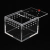 Insect Reptile Spider Transport Breeding Cage Hatching Container Clear