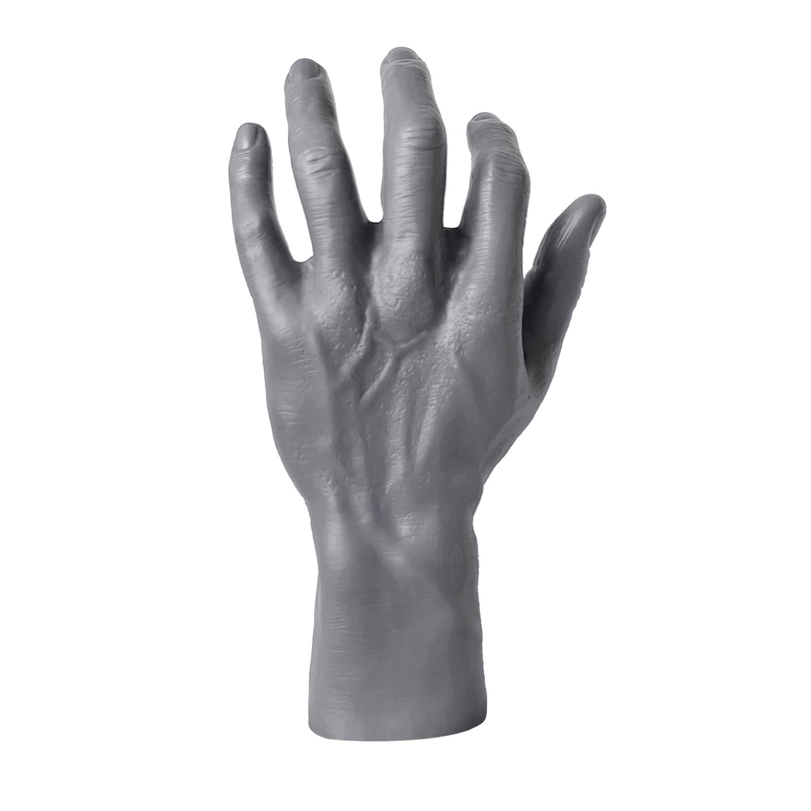 Realistic Male Mannequin Hand Men's Hand Model Holder Left