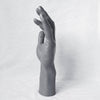 Realistic Male Mannequin Hand Men's Hand Model Holder Left