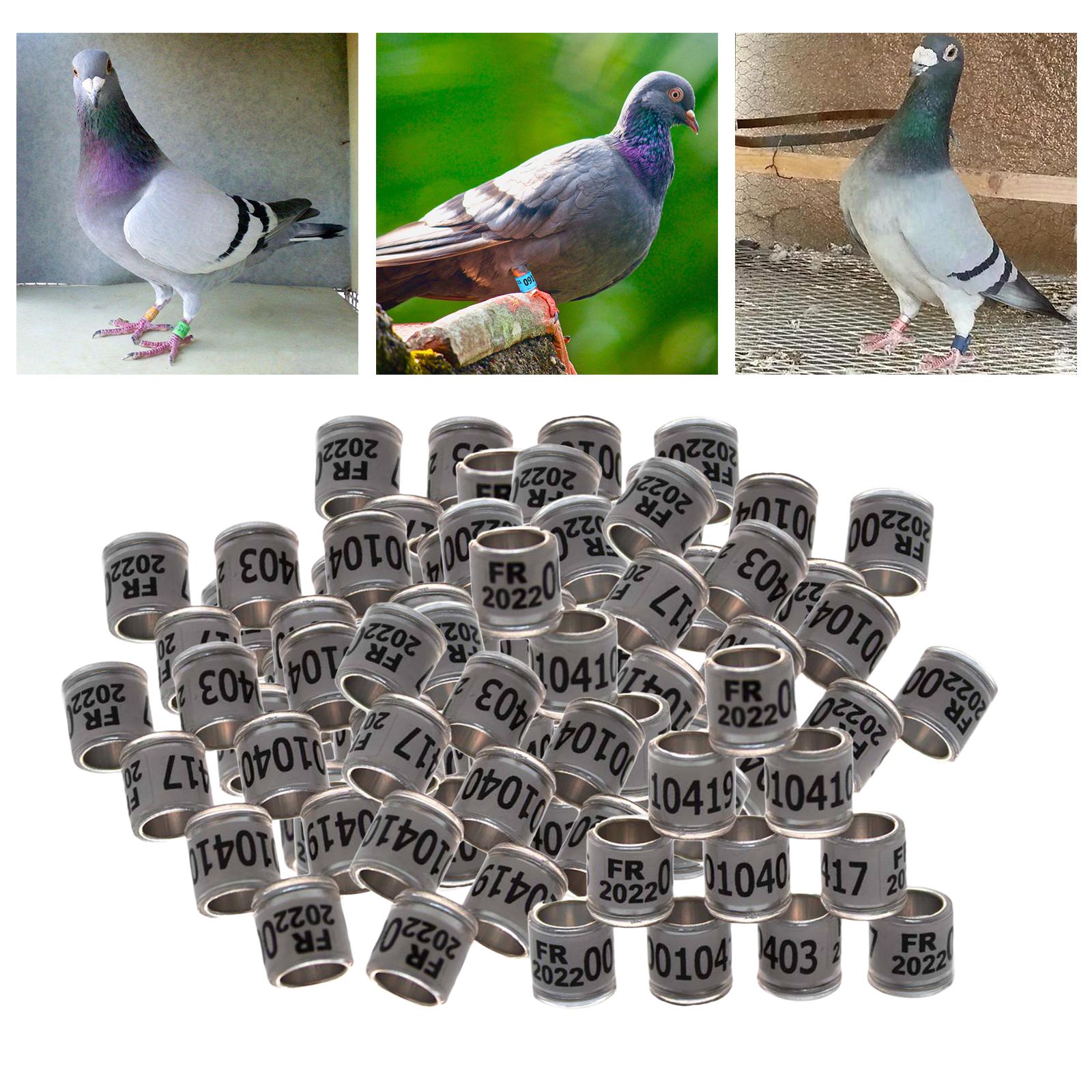 100Pcs 2022 Aluminium Dove Racing Pigeon Foot Rings Bands 8mm White