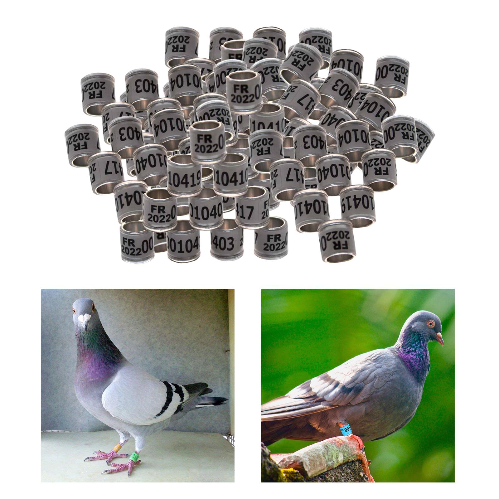 100Pcs 2022 Aluminium Dove Racing Pigeon Foot Rings Bands 8mm White