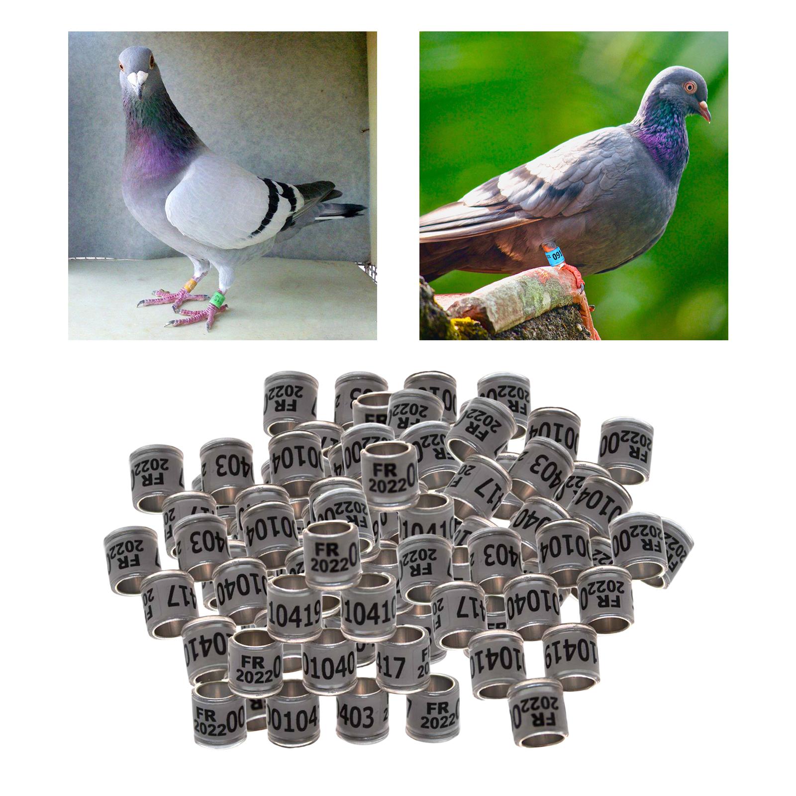 100Pcs 2022 Aluminium Dove Racing Pigeon Foot Rings Bands 8mm White