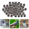 100Pcs 2022 Aluminium Dove Racing Pigeon Foot Rings Bands 8mm White