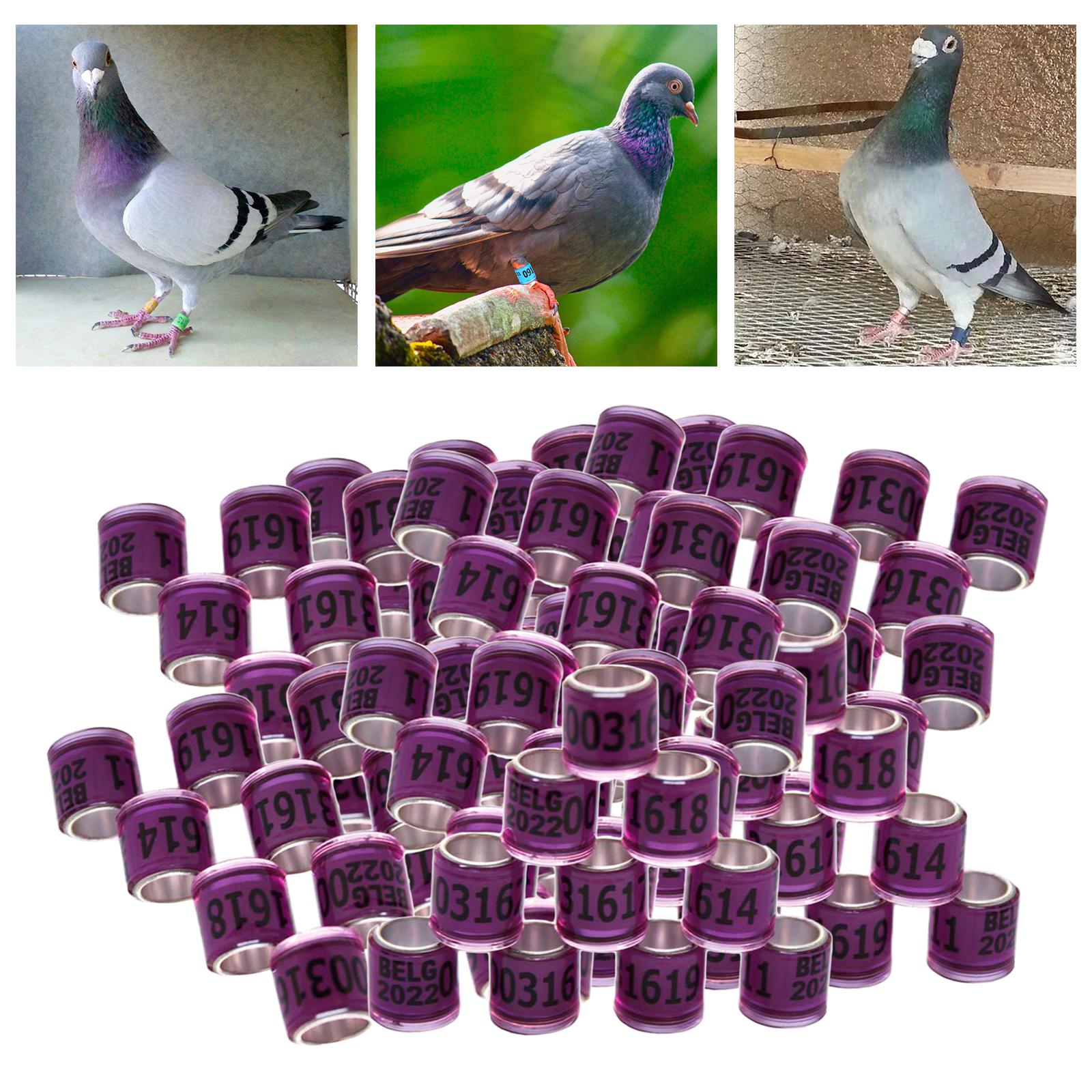 100Pcs 2022 Aluminium Dove Racing Pigeon Foot Rings Bands 8mm Purple