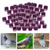 100Pcs 2022 Aluminium Dove Racing Pigeon Foot Rings Bands 8mm Purple