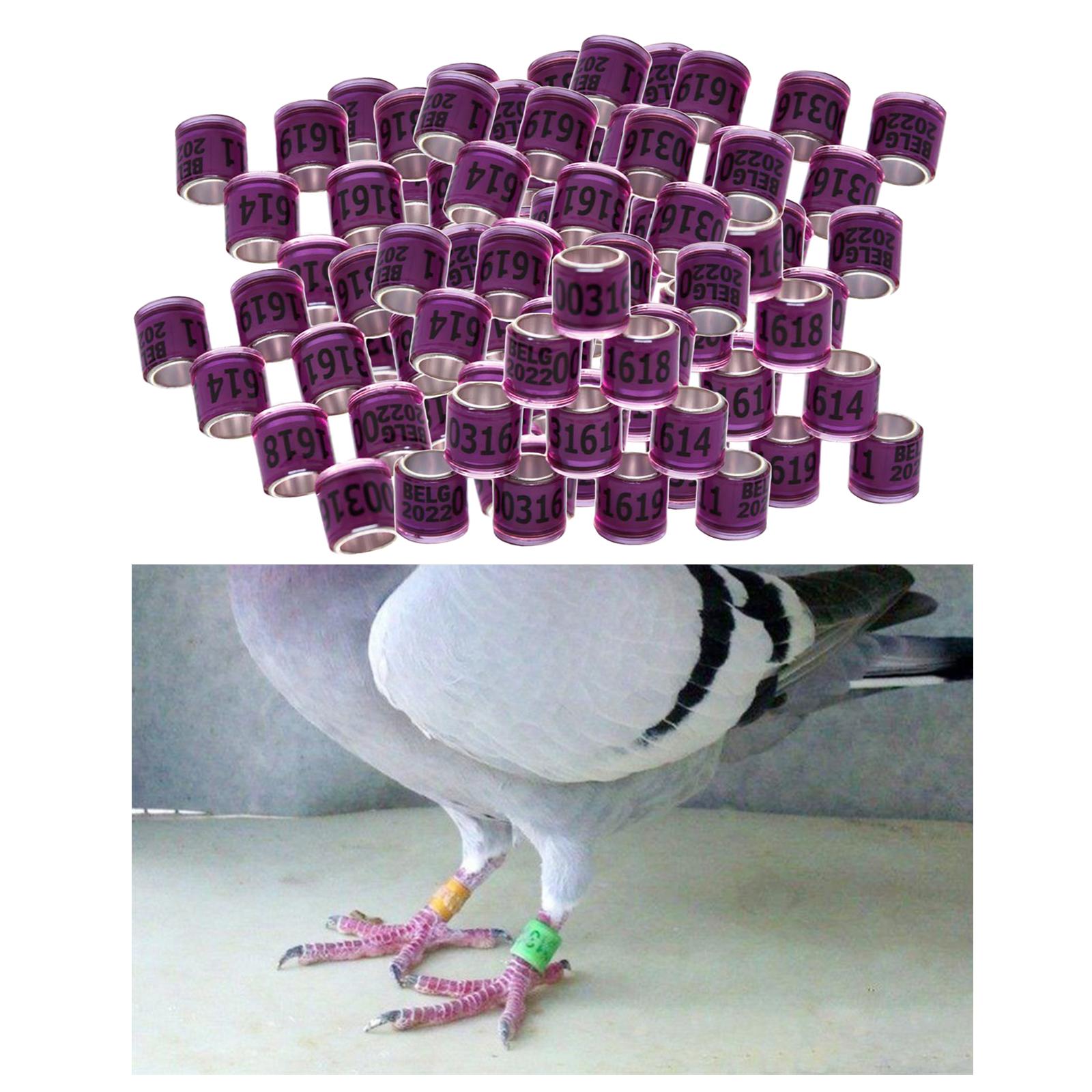 100Pcs 2022 Aluminium Dove Racing Pigeon Foot Rings Bands 8mm Purple