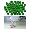 100Pcs 2022 Aluminium Dove Racing Pigeon Foot Rings Bands 8mm Grass Green