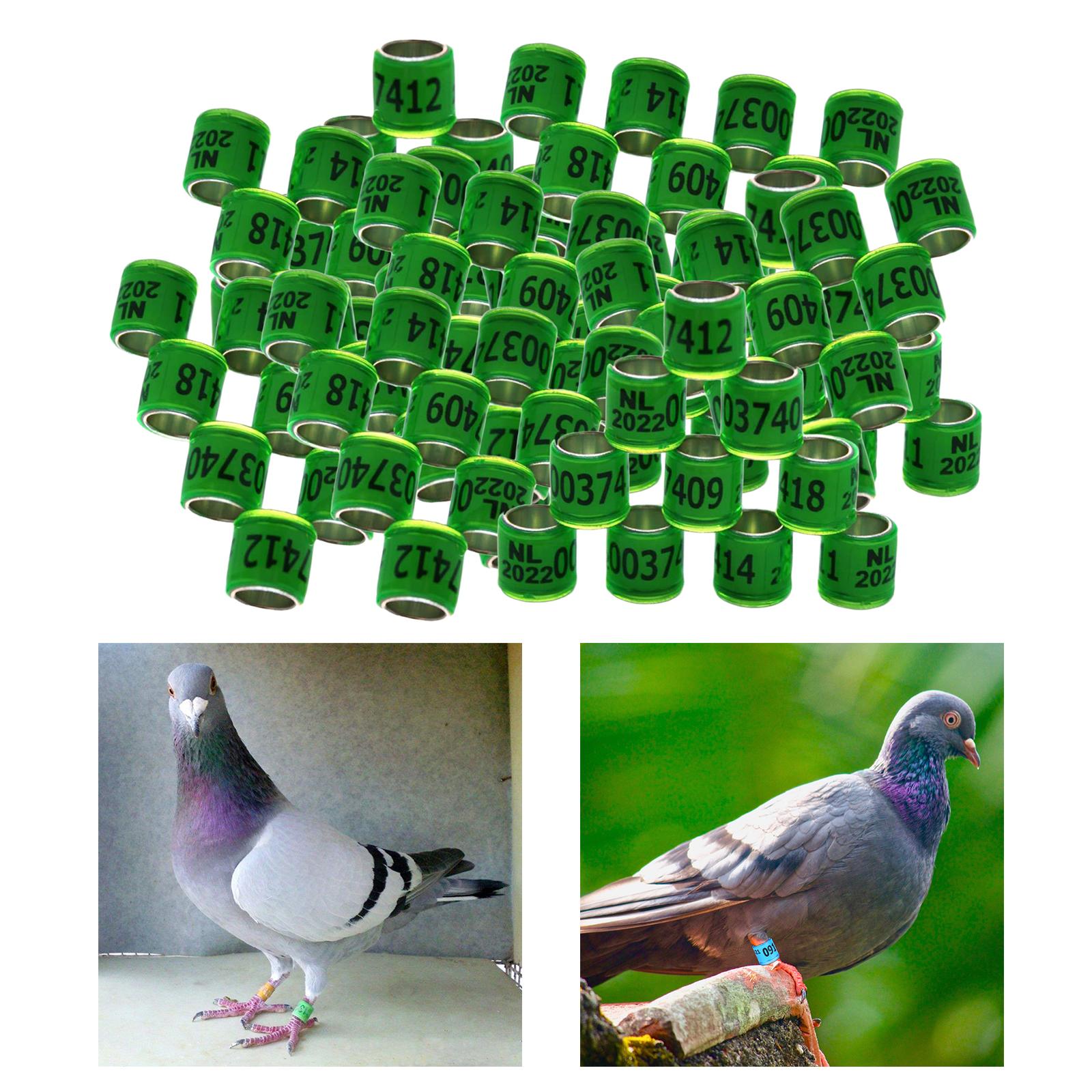 100Pcs 2022 Aluminium Dove Racing Pigeon Foot Rings Bands 8mm Grass Green