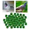 100Pcs 2022 Aluminium Dove Racing Pigeon Foot Rings Bands 8mm Grass Green