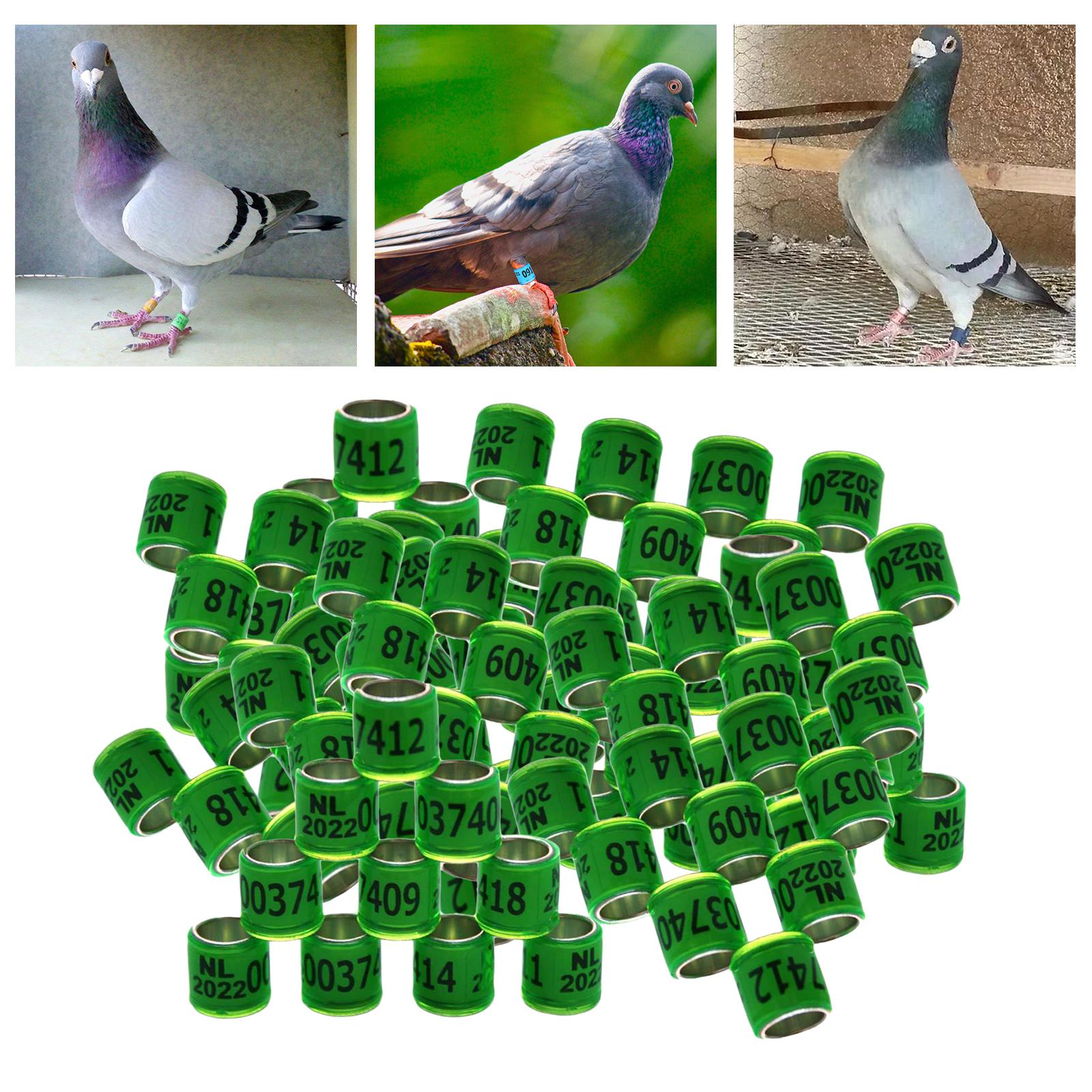 100Pcs 2022 Aluminium Dove Racing Pigeon Foot Rings Bands 8mm Grass Green