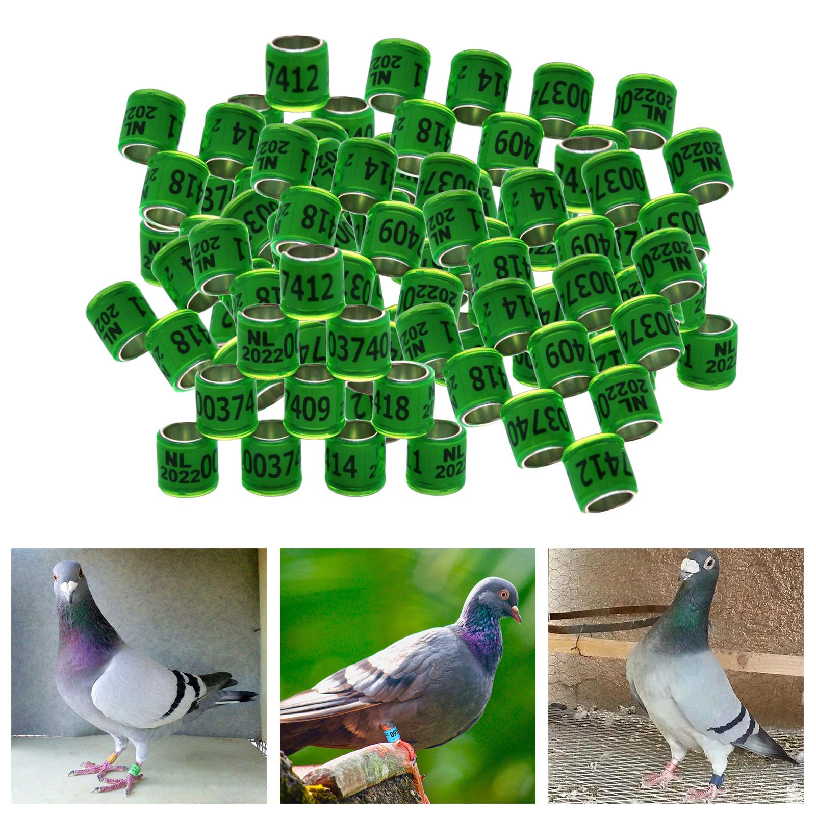 100Pcs 2022 Aluminium Dove Racing Pigeon Foot Rings Bands 8mm Grass Green