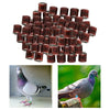 100Pcs 2022 Aluminium Bird Racing Pigeon Foot Rings Bands 8mm Brown