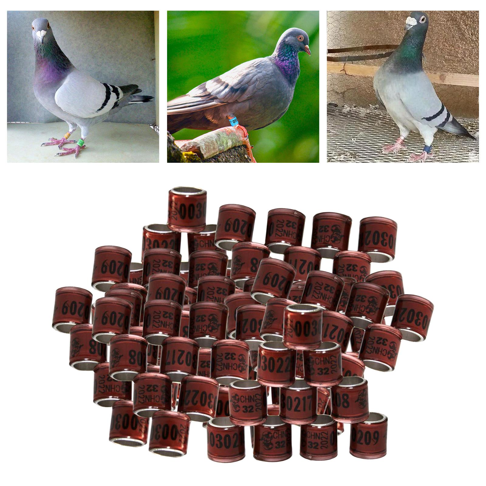 100Pcs 2022 Aluminium Bird Racing Pigeon Foot Rings Bands 8mm Brown