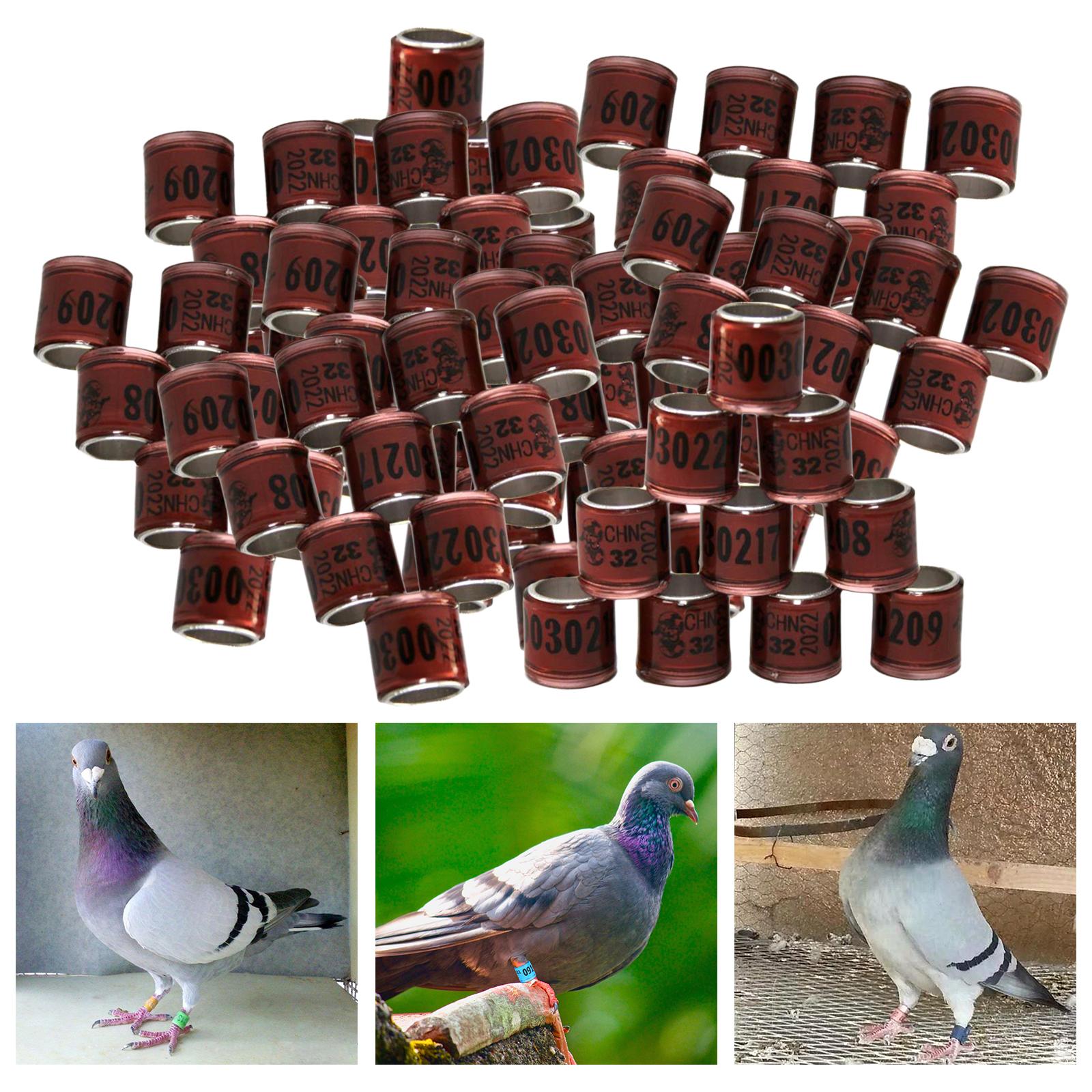 100Pcs 2022 Aluminium Bird Racing Pigeon Foot Rings Bands 8mm Brown