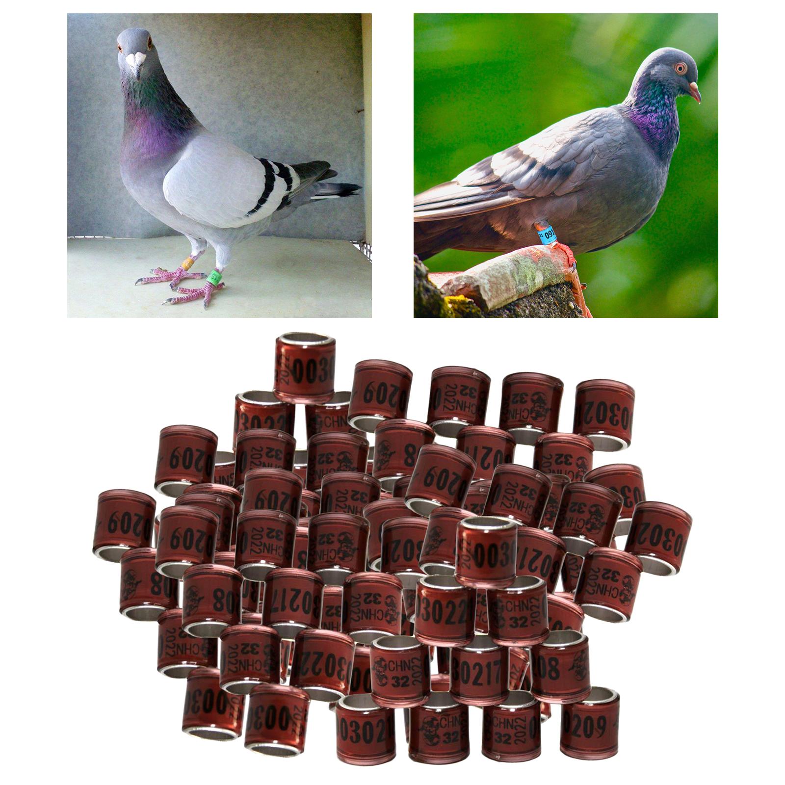 100Pcs 2022 Aluminium Bird Racing Pigeon Foot Rings Bands 8mm Brown