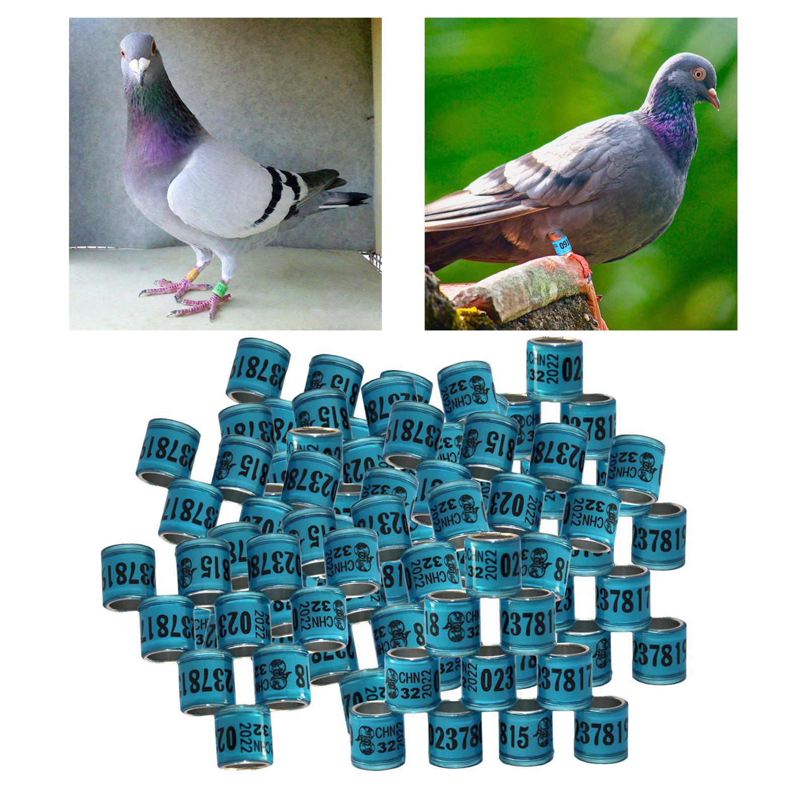 100Pcs 2022 Aluminium Bird Racing Pigeon Foot Rings Bands 8mm Blue