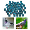 100Pcs 2022 Aluminium Bird Racing Pigeon Foot Rings Bands 8mm Blue