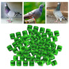 100Pcs 2022 Aluminium Bird Racing Pigeon Foot Rings Bands 8mm Grass Green