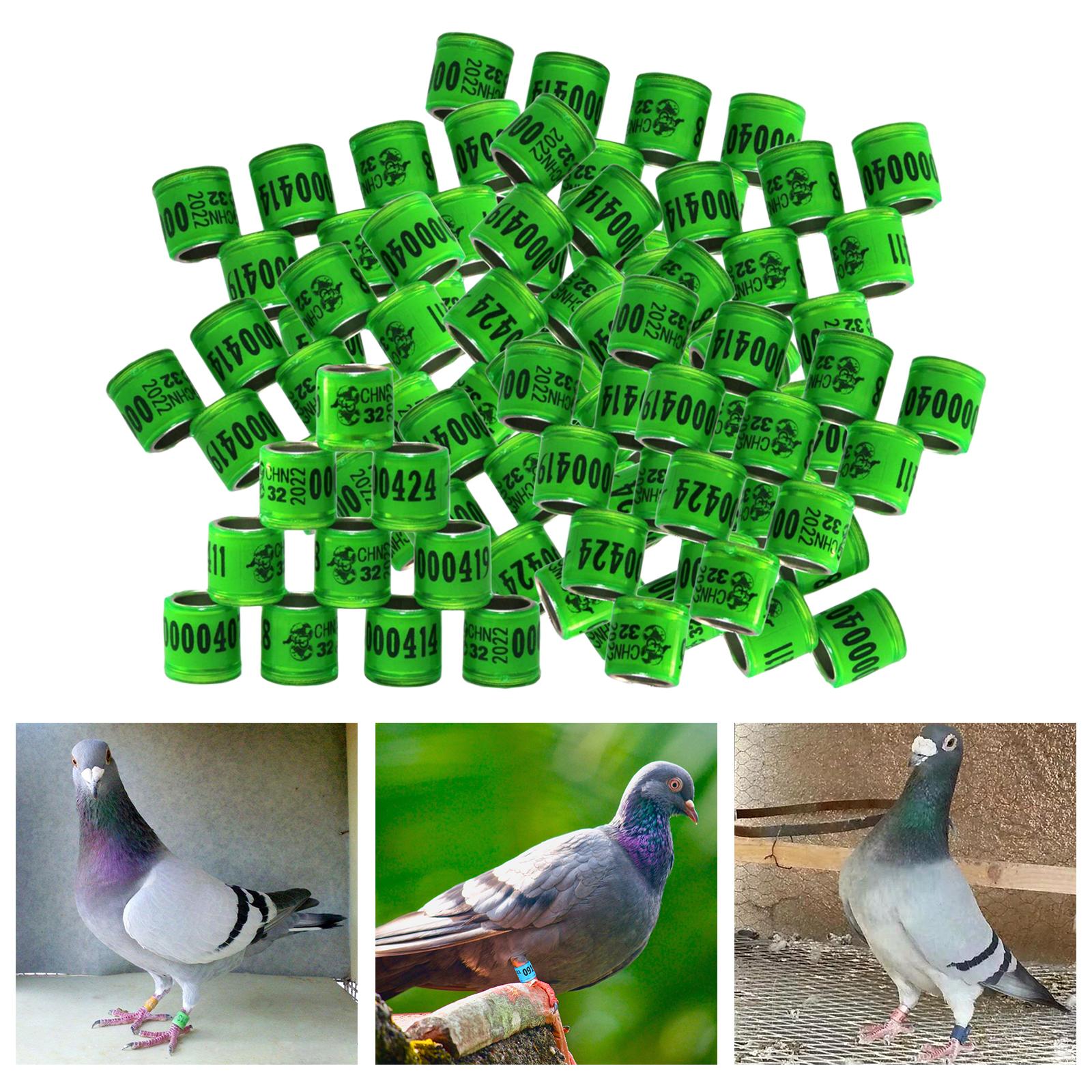 100Pcs 2022 Aluminium Bird Racing Pigeon Foot Rings Bands 8mm Grass Green