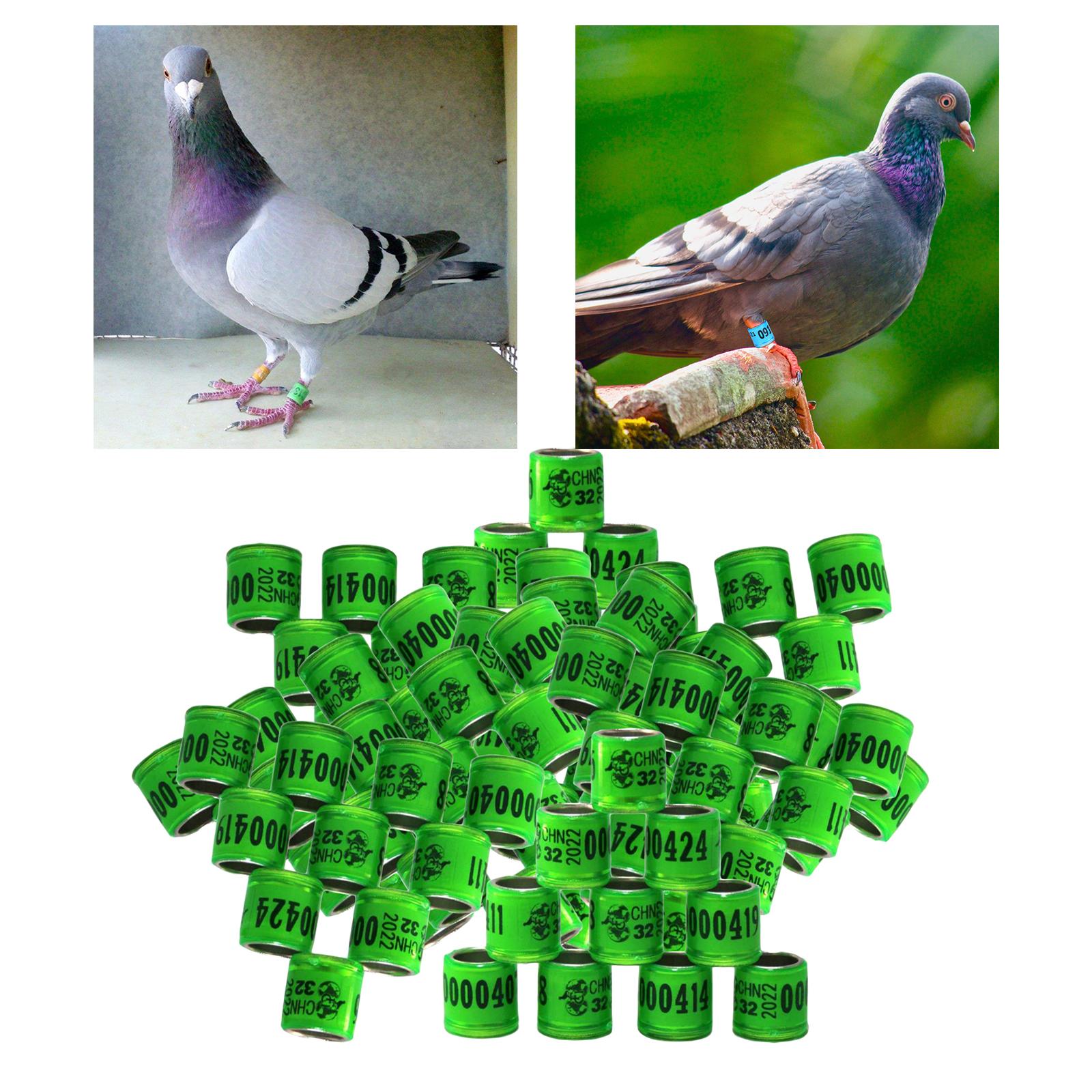 100Pcs 2022 Aluminium Bird Racing Pigeon Foot Rings Bands 8mm Grass Green