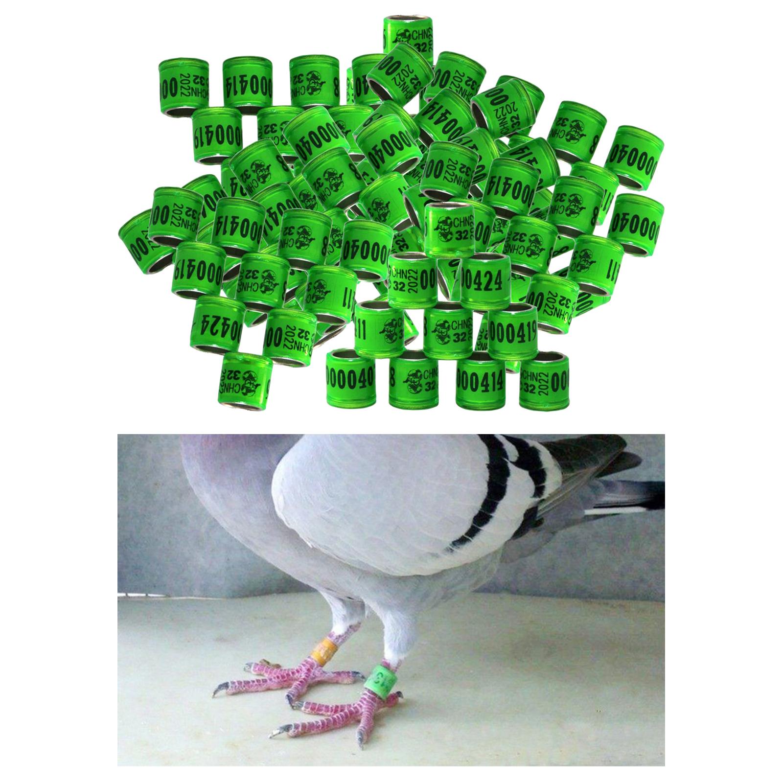 100Pcs 2022 Aluminium Bird Racing Pigeon Foot Rings Bands 8mm Grass Green