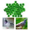 100Pcs 2022 Aluminium Bird Racing Pigeon Foot Rings Bands 8mm Grass Green