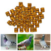 100Pcs 2022 Aluminium Bird Racing Pigeon Foot Rings Bands 8mm Orange